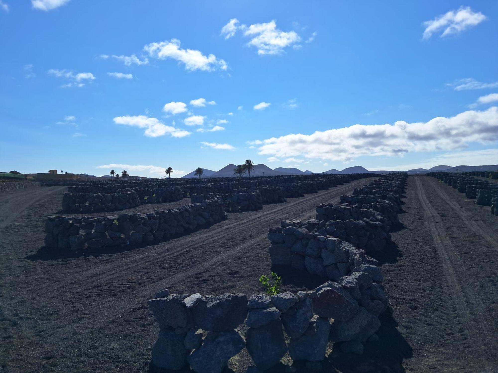 El Lagar Lägenhet San Bartolomé Exteriör bild
